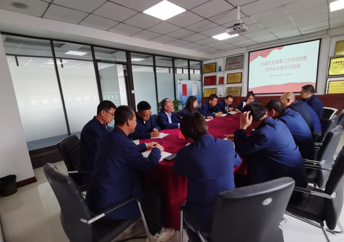 龍城黨支部開展第三次黨史專題學(xué)習(xí)暨四月主題黨日活動(dòng)